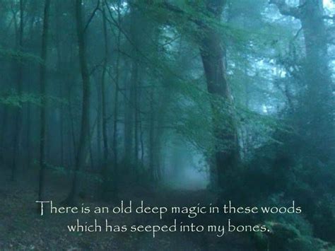 Enchanted Woods: Where Magic Comes Alive